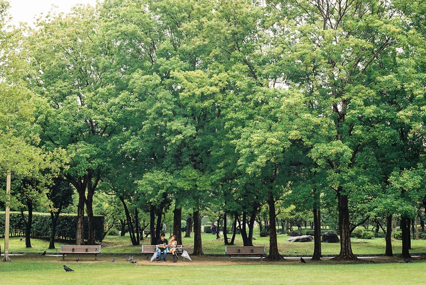 Nhat Ban dep mo mang thoi khac chuyen mua sang thu 5